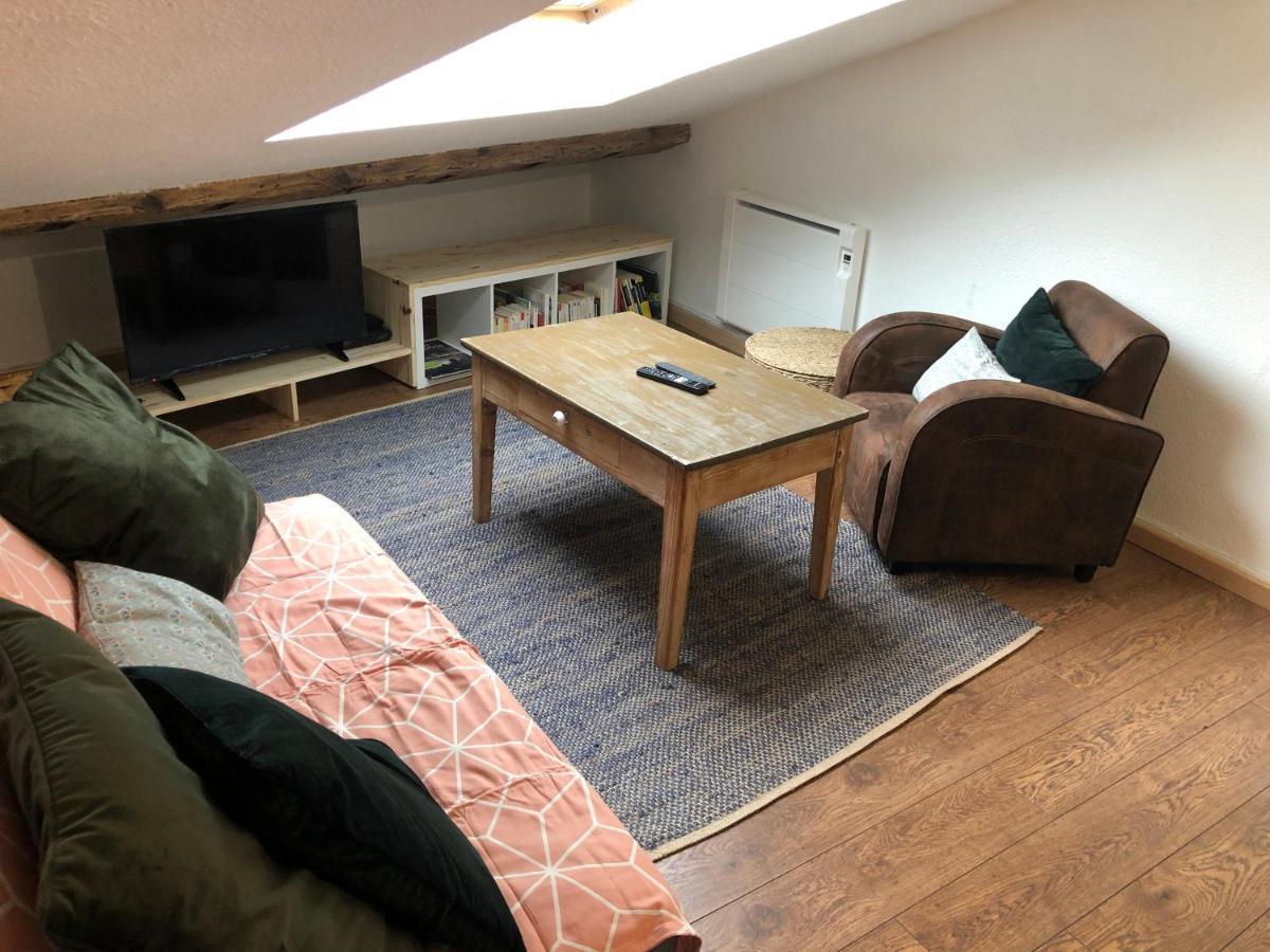 Le Boho / Rent4Night Grenoble Appartement Buitenkant foto